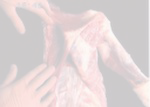 eXg