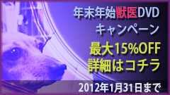 �N���N�n�b��L�����y�[��