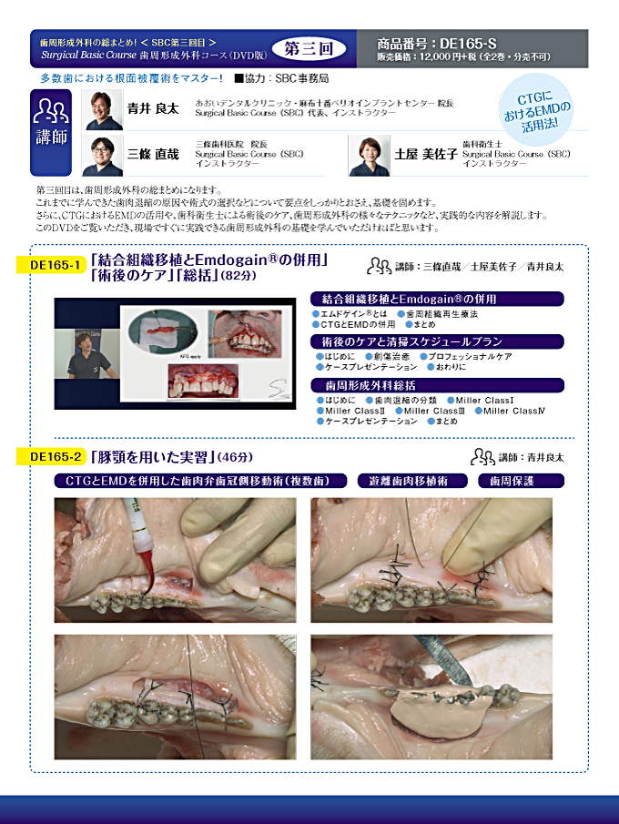 DE165catalog画像