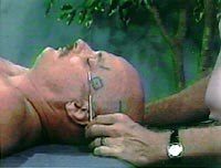 SOMATIC CRANIAL WORK<br>���W�����@