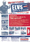 ニューサウスウェールズ イーエルビーズ<br>NSW協会 ELVs対応のコーチング・クリニック<br>全4枚 分売不可