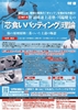 野球瞬速上達塾・川端健太の「芯食いバッティング」理論<br/>〜脳の原理原則に基づいた上達の極意〜<br/>(全2枚・分売不可)