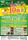 シングルスを制する!!セオリー10箇条<br> 〜中津川監督(東北高校)に見るシングルス強化法〜<br>(全1巻)