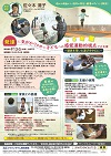 発達に気がかりを持つ子どもへの感覚運動的視点での支援<br>〜遊具を用いた遊びを中心に〜<br>【全2巻・分売不可】<br>