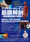 アナトミー・トレイン 筋膜解剖〜筋筋膜経線の解剖〜<br>Anatomy Trains Revealed:Dissecting the Myofascial Meridians<br>(全3巻セット)