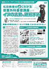 松田教授のよくわかる獣医外科基礎講座<br>「イヌの去勢、避妊手術」（全２枚・分売不可）