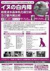 松田教授のよくわかる獣医外科基礎講座<br/>「イヌの白内障 超音波水晶体乳化吸引術及び嚢外摘出術」<br/>(全2枚・分売不可)