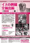 松田教授のよくわかる獣医外科基礎講座<br/>「イヌの脾臓全摘出術」(全1枚)