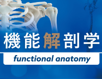 @\Uw functional anatomy