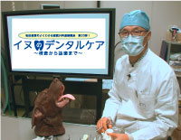 松田教授のよくわかる獣医外科基礎講座　「イヌのデンタルケア 〜検査から抜歯まで〜」
