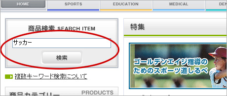 �ʏ팟��