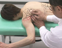 筋および受容器に対する治療的触察・刺激法 ＜ 上肢編 ＞ (全３枚) 筋 