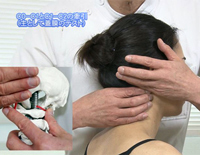 上部体幹の評価と治療<br>〜 頸部を屈曲すると頸部背側から上肢に症状が出現する患者の評価 ･ 治療の実際 〜<br>（全２枚・分売不可）<br>(商品番号ME151-S)