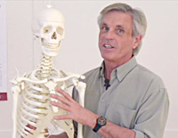 トム ・ マイヤーズ ANATOMY TRAINSOpening the Breath with Tom Myers