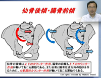 足の機能解剖と歩行分析～ 下肢からみた動きと理学療法の展開 