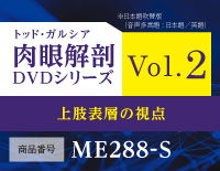 gbhEKVA w UDVDV[Y x Vol.2 <br>㎈\w̎_<br>yS1z(iԍME288-S)