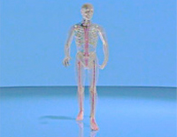 Manipulation in Motion A Video Companion to A Pocket Manual of OMT 