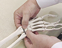 シンクロ矯正法<br>〜手足の関節の矯正による上位相対関節の可動性の回復〜<br>全３枚セット（分売不可）(商品番号ME76-S)