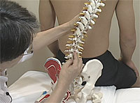 岡井 健D.C.のカイロプラクティックテクニック－腰椎、骨盤編－ 全4枚 