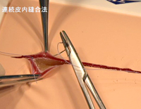 松田教授の獣医外科基礎講座<br/>「皮膚の切開法と縫合法」（全１枚）(商品番号VM38-S)