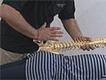 大陰幸生D.C.のカイロプラクティックテクニック　骨盤、腰椎編〜質の高いアジャストメントのための総括的プロセス〜（全２枚セット・分売不可）