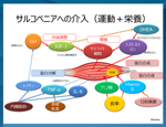 高齢者介護予防のための多角的アプローチ  ジャパンライム リハビリ