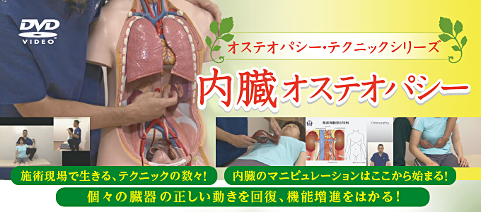 オステオパシー ・ テクニックシリーズ ~内臓オステオパシー【全2巻