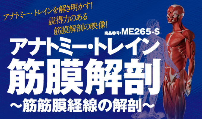 卓抜-臨床的骨盤•筋膜解剖•から考えるよくわかるTLH[本/雑誌] / 松本貴