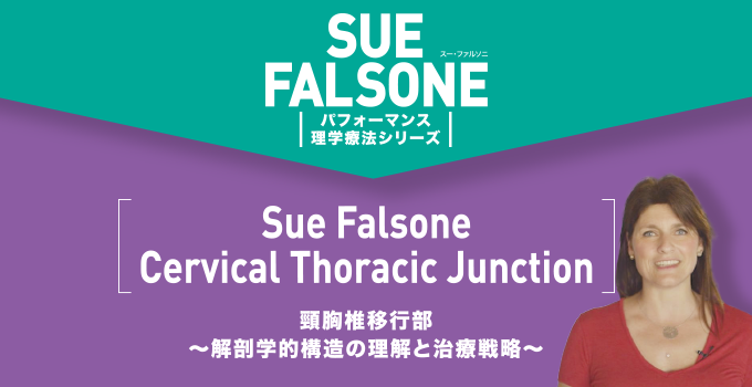 Sue Falsone Cervical Thoracic Junction頸胸椎移行部〜解剖学的構造の理解と治療戦略〜【全1巻】