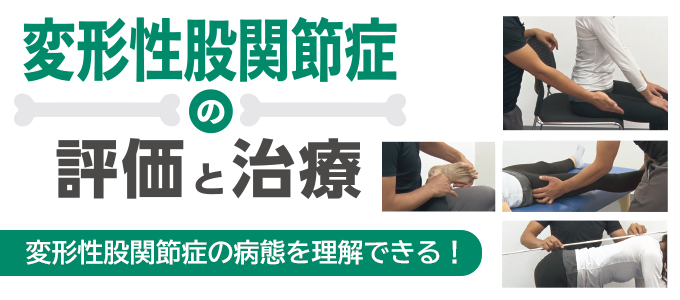 本日限定変形性股関節症の評価と治療  ジャパンライム