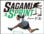 SAGAMI SPRINT n[h`uČ̌vړIƂiKIg[jO`yDVD2gz