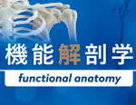 @\Uwfunctional anatomyyDVD6gEsz