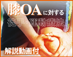 �GOA�ɑ΂���k��E�^���Ö@�y���ZDVD1���{�������imp4�f�[�^�j�z