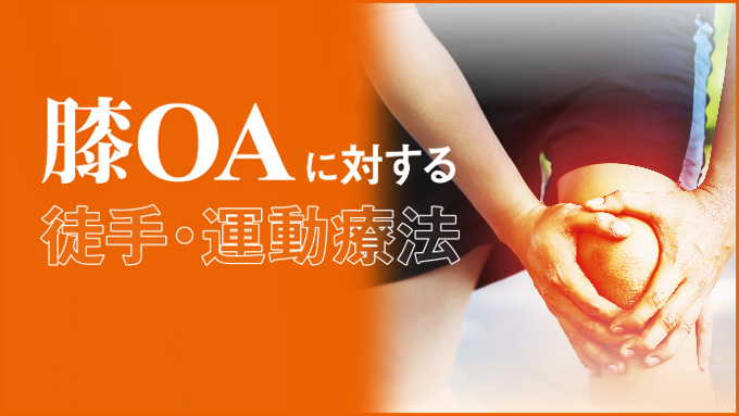 �GOA�ɑ΂���k��E�^���Ö@�y���ZDVD1���z