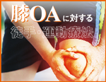 �GOA�ɑ΂���k��E�^���Ö@�y���ZDVD1���z