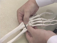 シンクロ矯正法<br>〜手足の関節の矯正による上位相対関節の可動性の回復〜