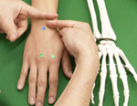 手関節のリハビリテーション〜 機能解剖学に基づいた手関節の徒手療法 〜