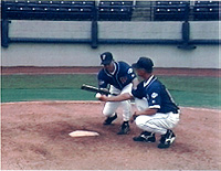 All American Baseball