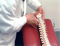 MYChiropractic Techniques<br>ʌzŃeNjbN