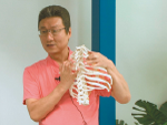 胸郭運動システムの再建法セミナー〜 レッドコードを利用した治療戦略 〜