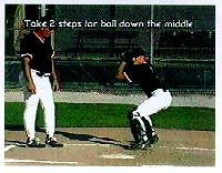 The GOLD GLOVE VIDEO SERIES