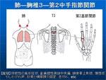シンクロ矯正法　Part-2〜手足の関節の矯正による上位相対関節の可動性の回復〜